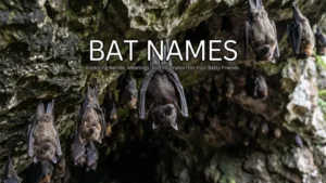 Bat Names With a Name Generator