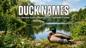 Duck Names With a Name Generator