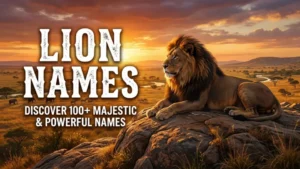 Lion Names to Find Perfect Powerful Name