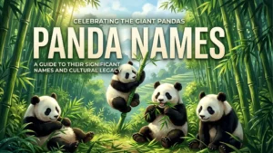 Panda Names with Name Generator
