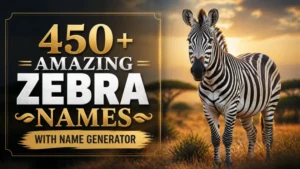 Zebra Names With Name Generator